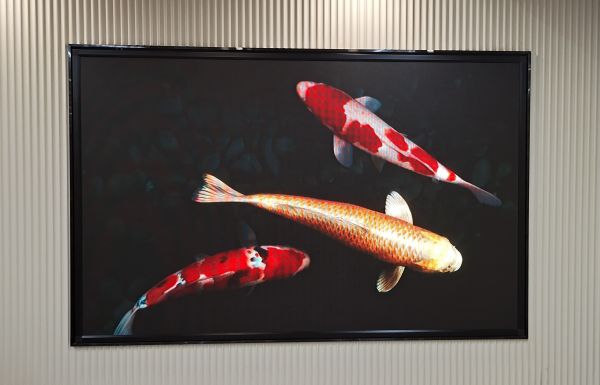 深圳羅湖區(qū)LED顯示屏項目